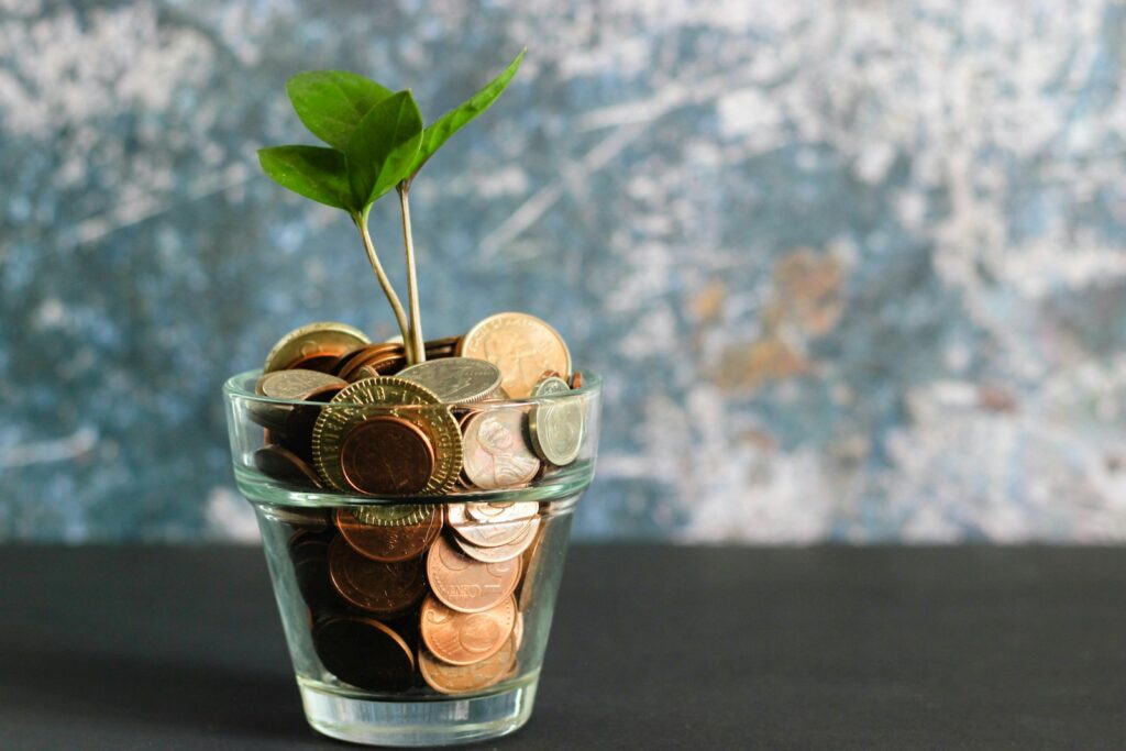 Coins and a growing plant representing the return on investment from SEO and Google Ads