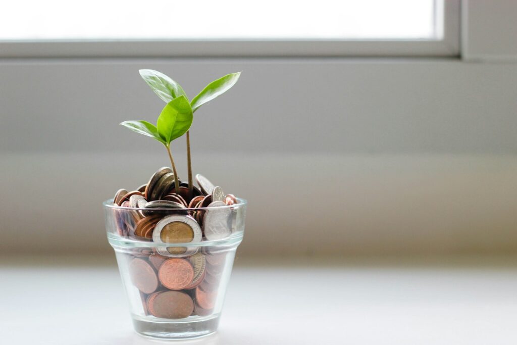 Coins with a growing plant, representing the new clients and revenue growth accountants gain from SEO